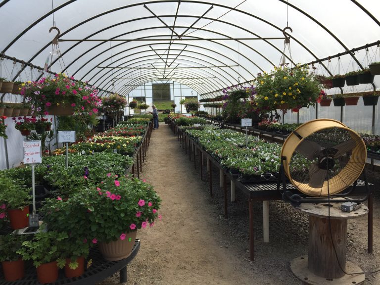 BP Nursery and Landscape Nursery in Clarksville, Arkansas
